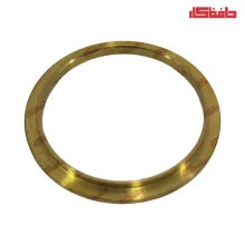 واشر گلوئی اگزوز الوند